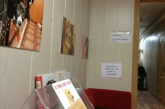 Приют для животных Краснодог на улице Куйбышева