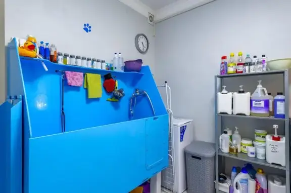 Груминг-зоосалон Наше собачье дело на Братеевской улице