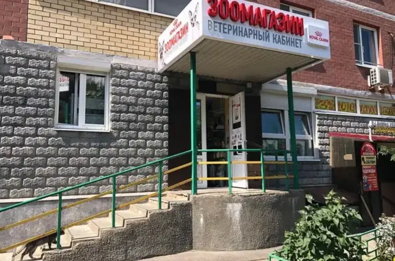 Хамелеон, ветеринарный кабинет