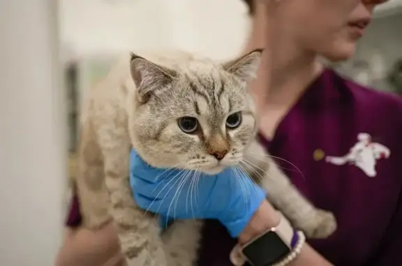 Зоопорт, ветеринарная клиника