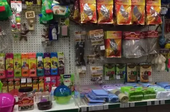 Зооцентр 2 Йорка на Конной улице, 20/6