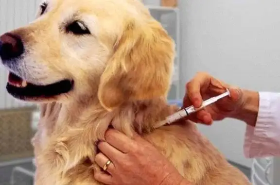 Ветеринарный центр Ка Дэ Бо на улице Любы Шевцовой