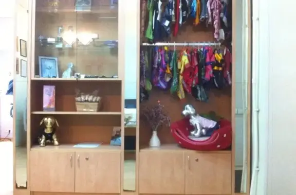 Салон красоты для животных Домашний любимец на улице Марата