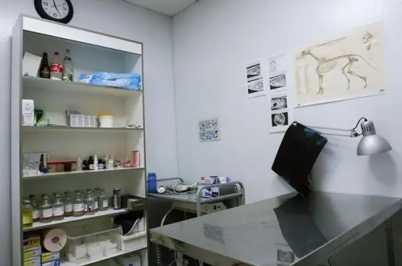 Ветпрофи, ветеринарная клиника