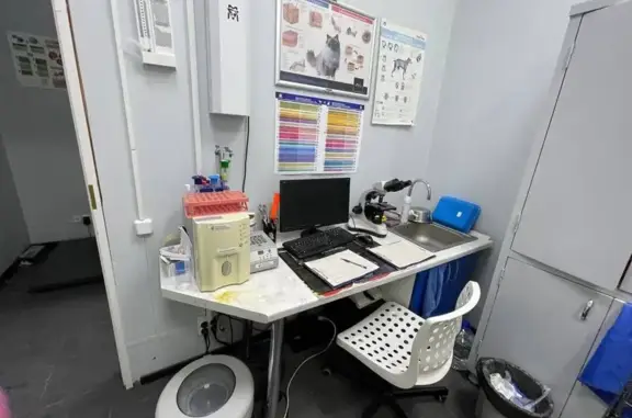 Ветеринарная клиника доктора Чулковой Г.Б.