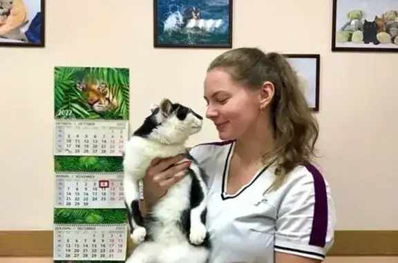 Wellvet, ветеринарный центр