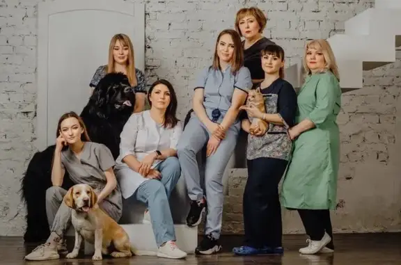 ВетСтатус, ветеринарная клиника