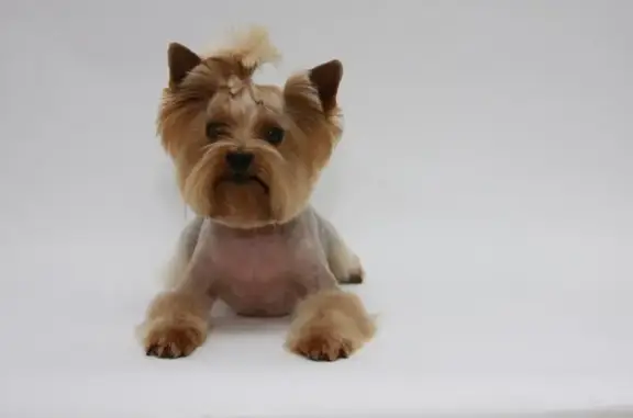 Зоосалон Милорд на Братиславской улице