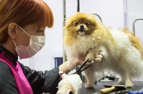 Груминг-салон ZooDiscount на улице Ворошилова