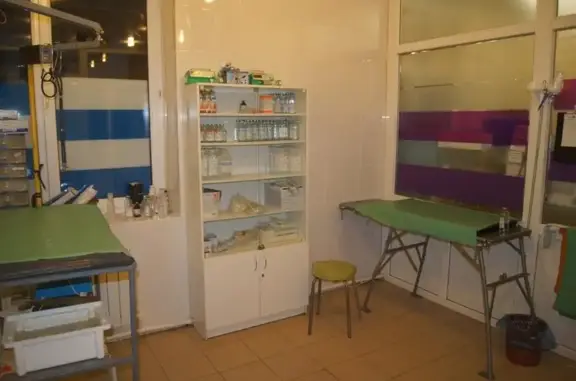 Well Vet, ветеринарная клиника