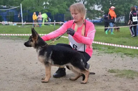 Центр спортивной дрессировки Сергея Богданова