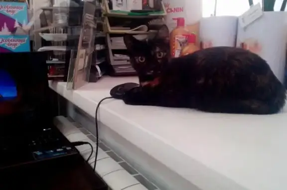 Ветеринарная аптека доктора Аксёновой на улице Попова, 150