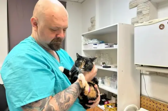 Бегемот, ветеринарная клиника