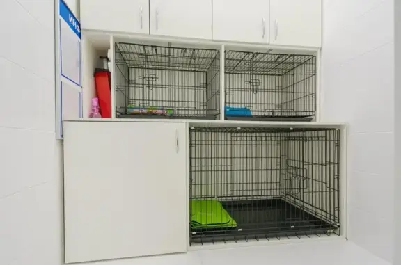 Доктор Неболит, многопрофильная ветеринарная клиника