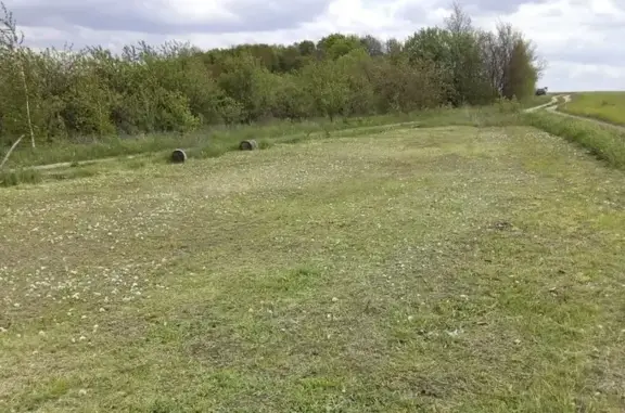 Зоогостиница