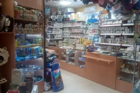 Кот Филимон, ветеринарный кабинет