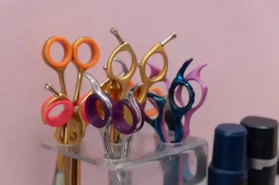 Зоогостиница и студия груминга Розовая пантера