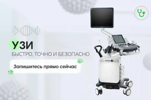 Хвостатая помощь