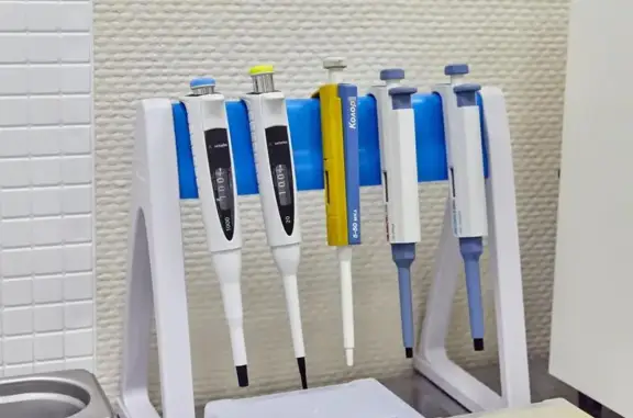 Байга, ветеринарная клиника