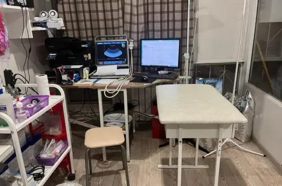 Питомец, ветеринарная клиника