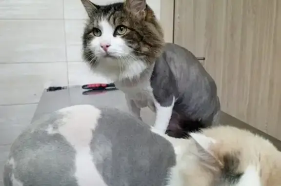 Друг, ветеринарная клиника