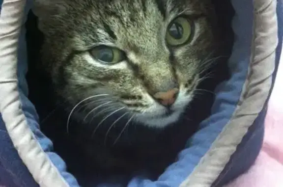 Центр Вакцинации Железнодорожного района