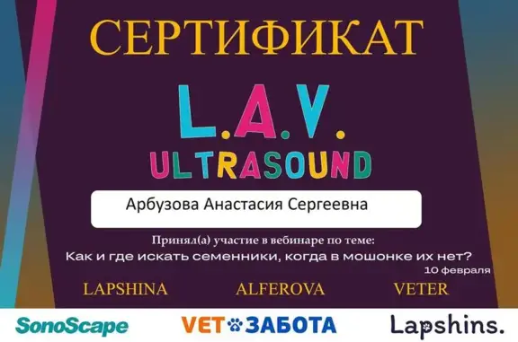 Добрый Доктор, ветеринарная клиника широкого профиля