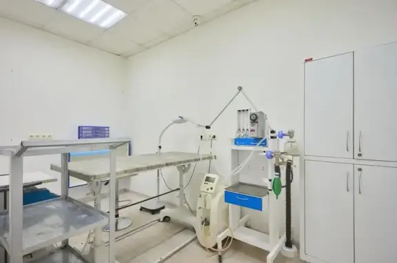 Евровет, ветеринарный центр