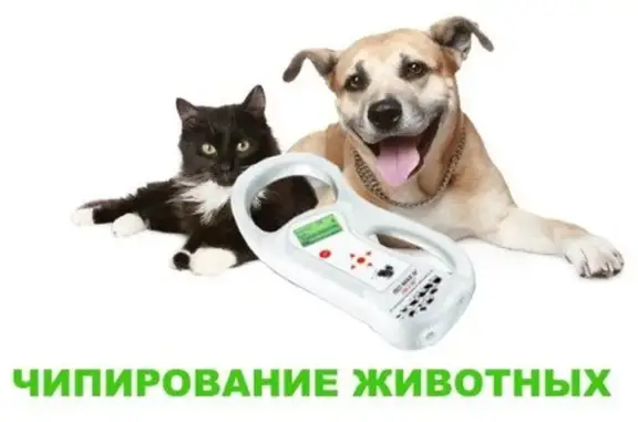 Айболит, ветеринарная клиника