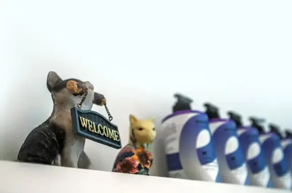 Студия зоострижек Бонифаций на улице Максима Горького