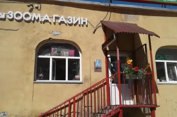 Зоомагазин Кот Липок