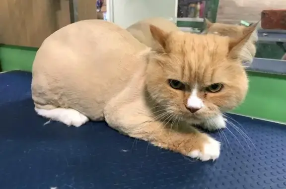 Зоосалон Хвостатый модник на улице Гагарина, 8а