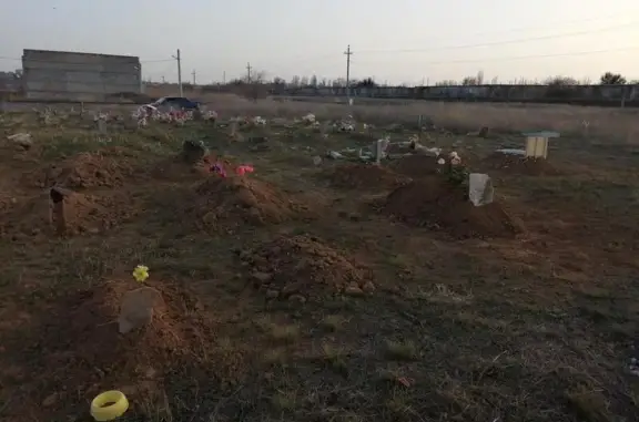 Ритуальные услуги для домашних животных Хатико 2 на улице Столовая