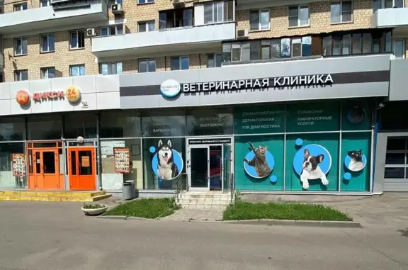 Ветеринарная клиника GlobalVet clinic на метро Преображенская площадь