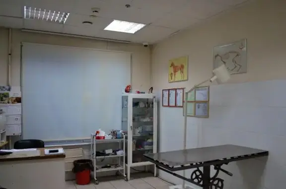 Альф, зооветеринарный центр