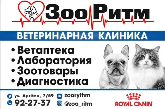 Ветеринарная клиника ЗооРитм на улице Артёма