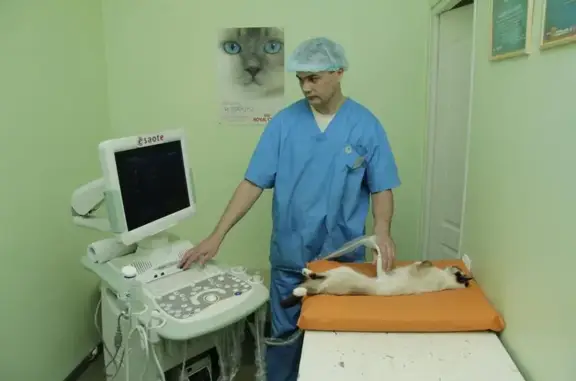 Ветеринарная клиника Ринга на Олимпийской улице