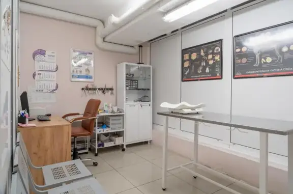 Усы лисы, ветеринарная клиника