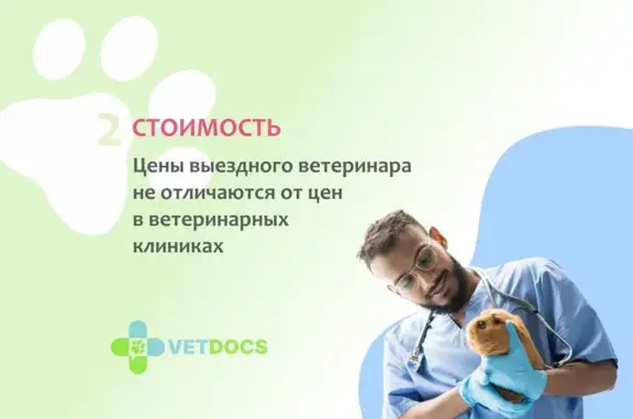 Ветеринарная служба Vetdocs на улице Горького, 2а в Апрелевке