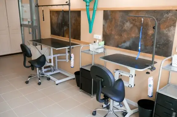 Зоопарикмахерская Лешка-Тошка на Среднерогатской улице