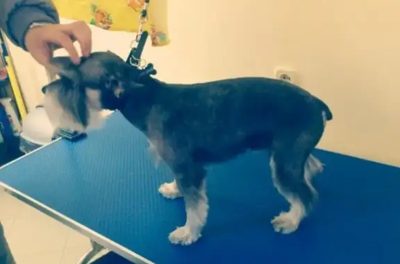 Зоосалон Pet shop barbers в Альпийском переулке