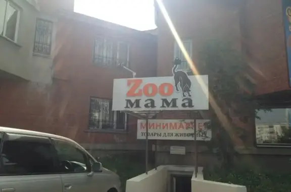 Студия груминга для собак мелких и средних пород ЛолаПёс