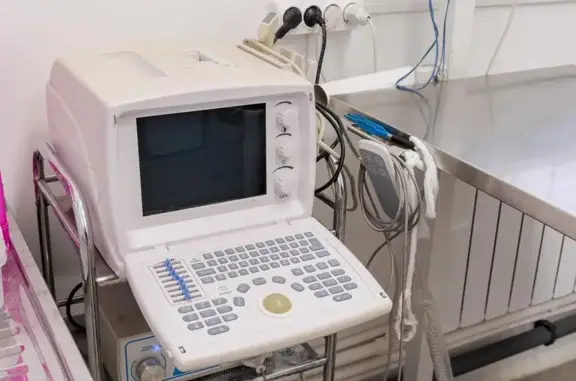 Татошка, ветеринарная клиника