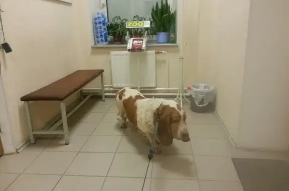 Эрли, ветеринарная клиника