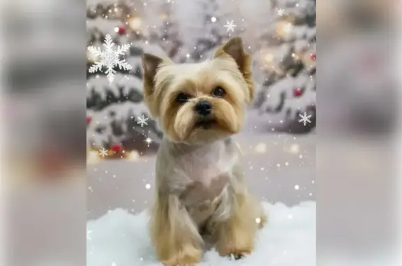 Зоосалон Зоотоп