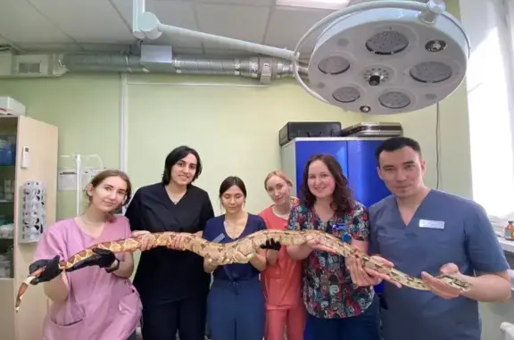 Альвис, ветеринарный центр