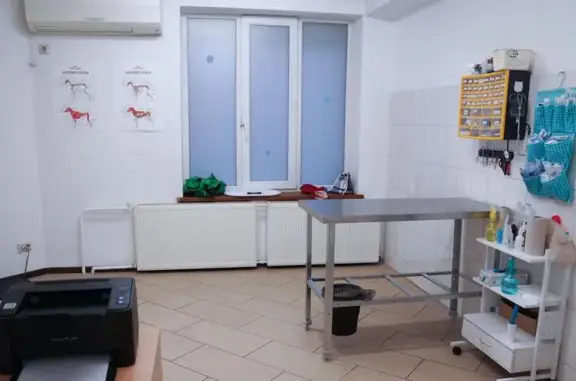 ВетАМ-СВ, ветеринарная клиника