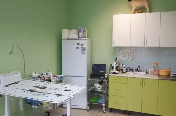 Котэ, ветеринарная клиника