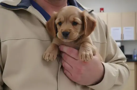 Фауна на метро Кузьминки