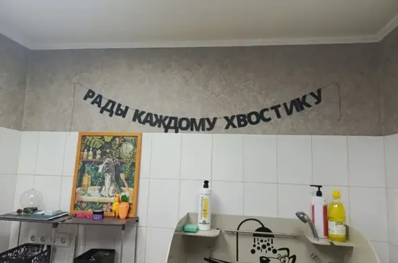 Студия груминга Елены Шуткиной